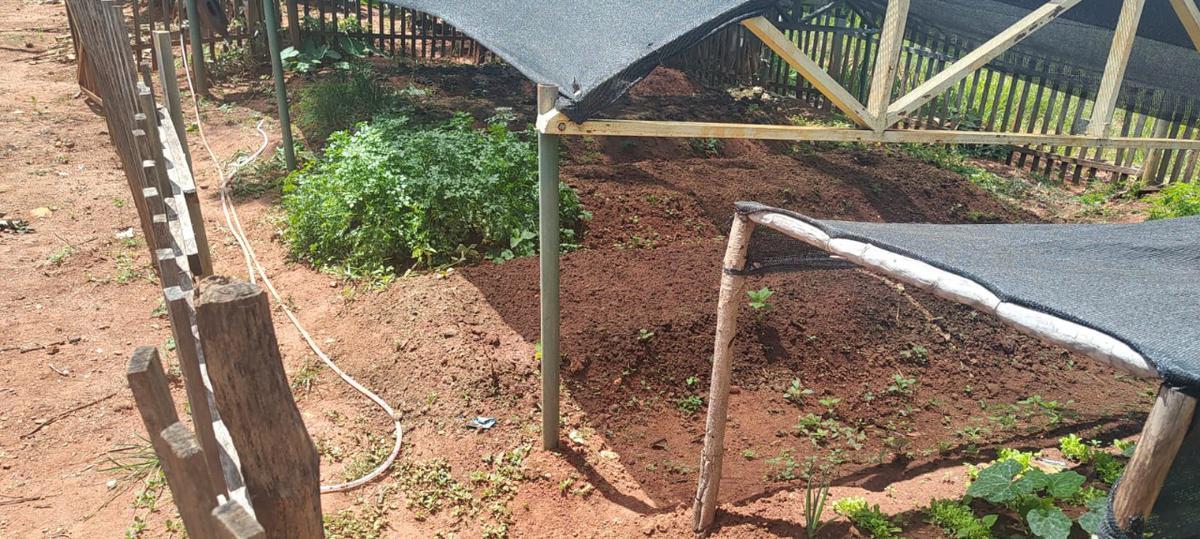 Fazenda, Centro, 6 Quartos, 10 Vagas, 1 Suíte