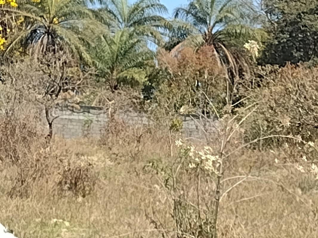 Lote, Chácara São Geraldo, 0 Quarto, 0 Vaga