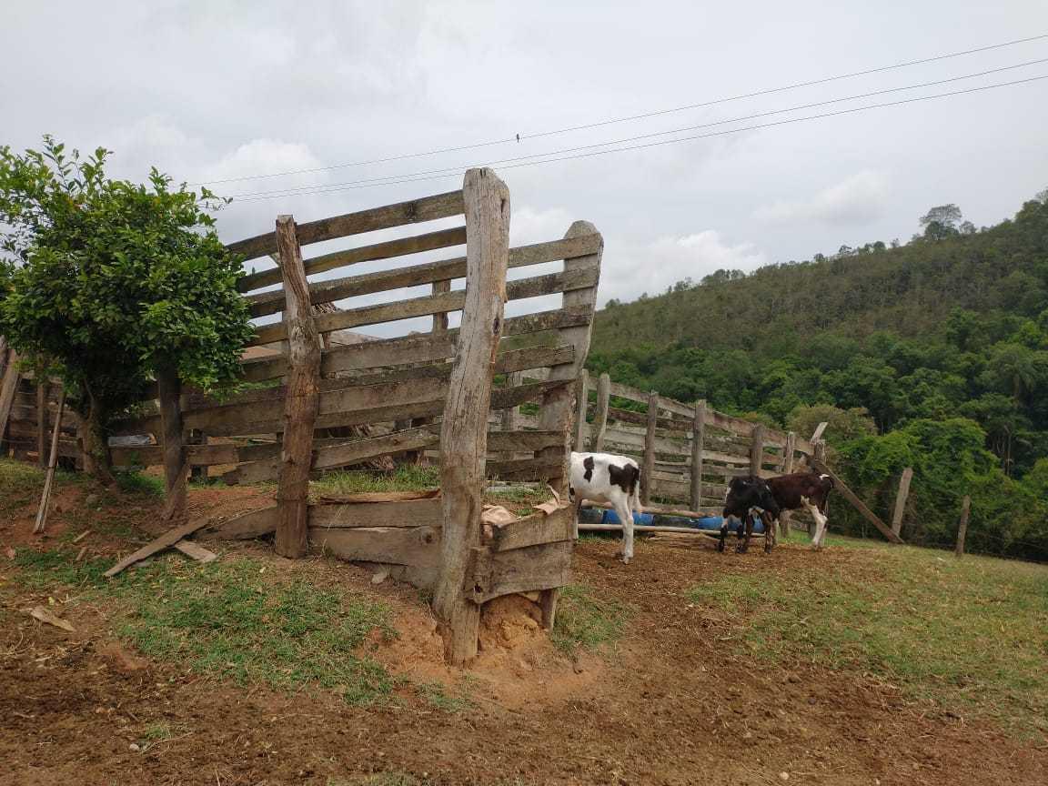 Fazenda, Zona Rural, 3 Quartos, 0 Vaga