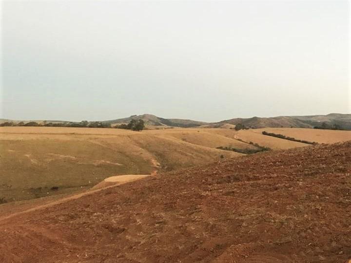 Fazenda, Centro, 1 Quarto, 1 Vaga, 1 Suíte
