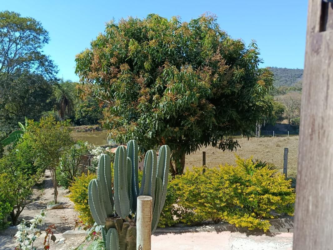 Fazenda, Centro, 3 Quartos, 3 Vagas, 1 Suíte
