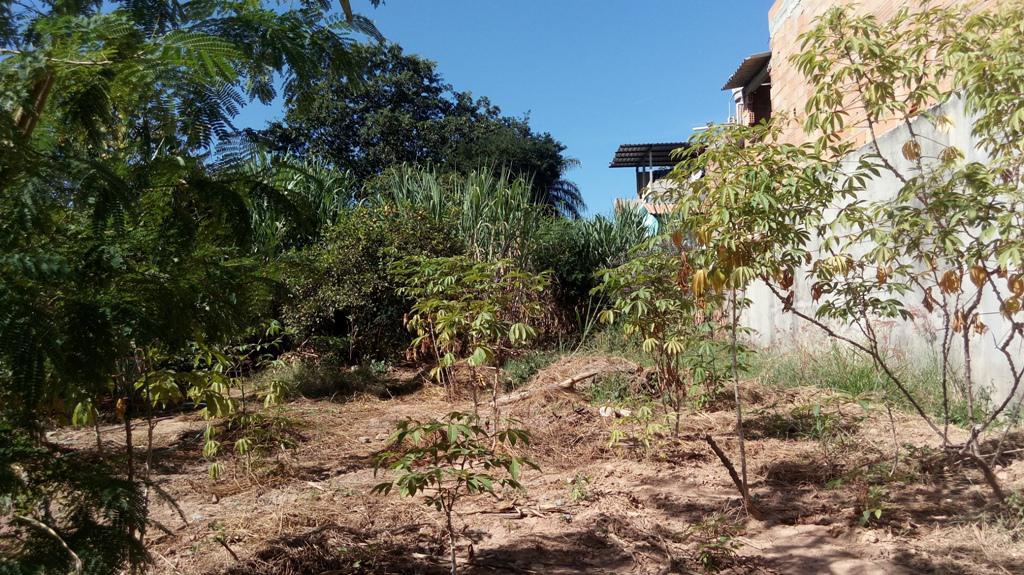 Lote, Nova Pampulha, 0 Quarto, 0 Vaga