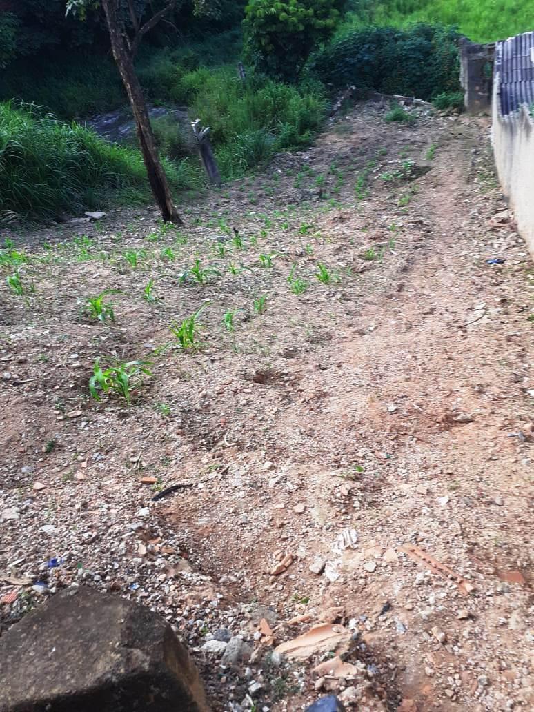 Lote, Dom Bosco, 0 Quarto, 0 Vaga