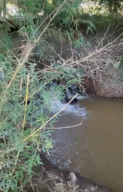Fazenda, Fernao Dias, 2 Quartos, 10 Vagas