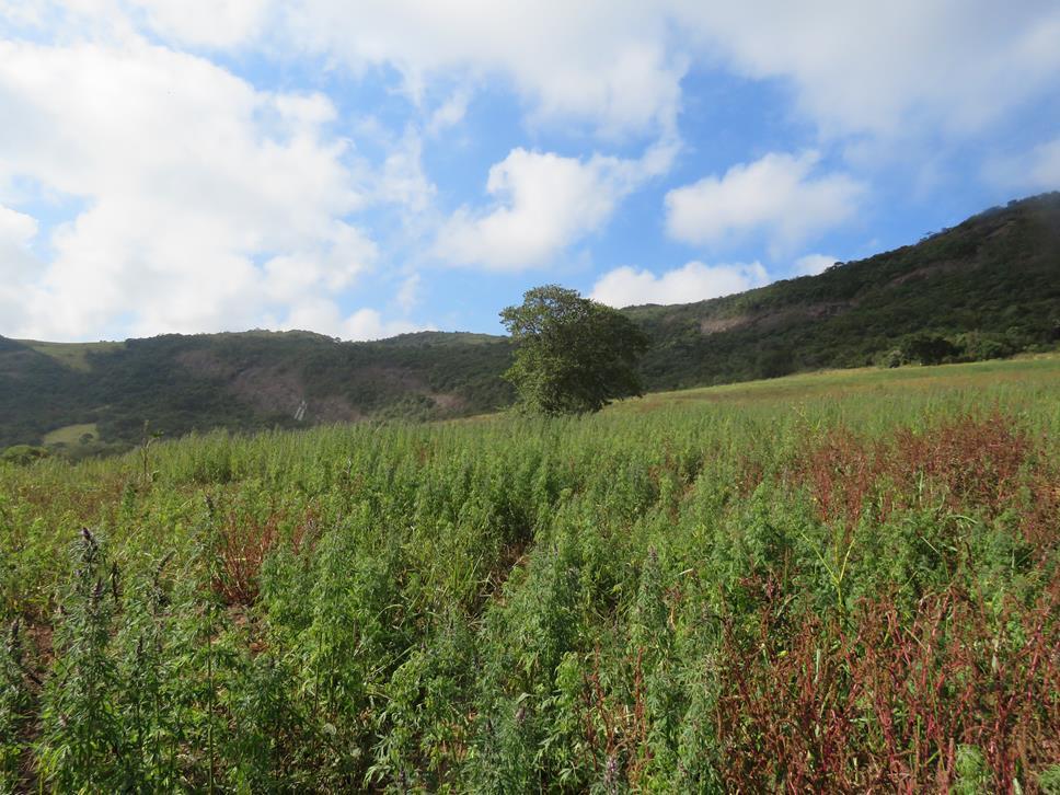 Fazenda, Zona Rural, 3 Quartos, 1 Vaga, 1 Suíte