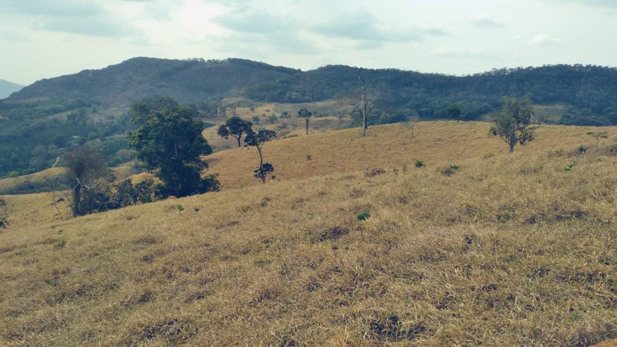 Fazenda, Zona Rural, 0 Quarto, 0 Vaga