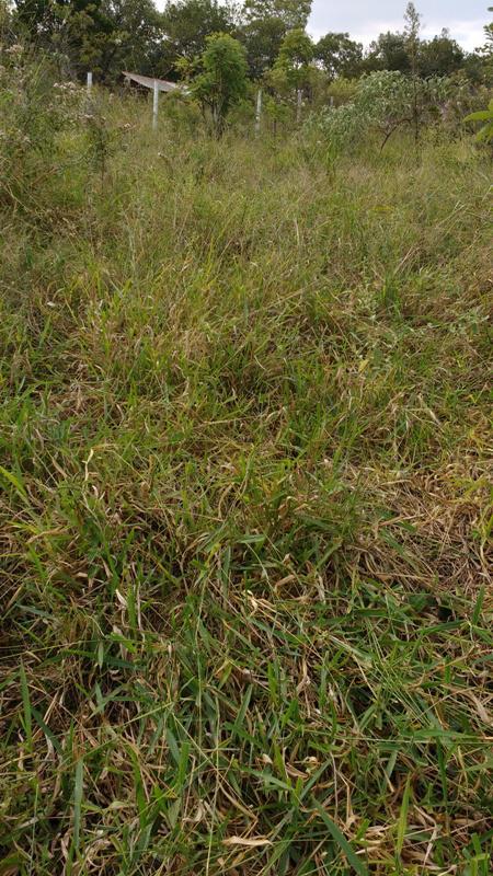 Lote, Centro, 0 Quarto, 1 Vaga