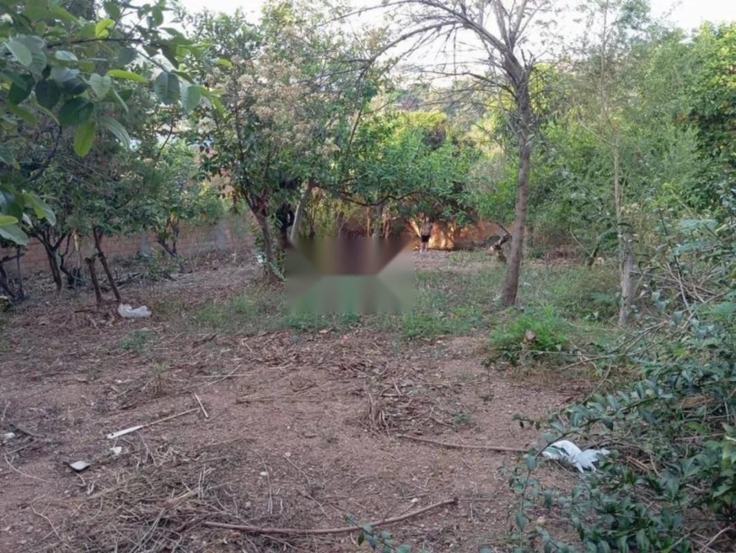 Lote, Bonsucesso, 0 Quarto, 0 Vaga