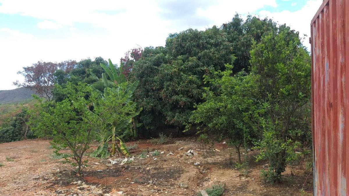 Lote, Palmital, 0 Quarto, 0 Vaga