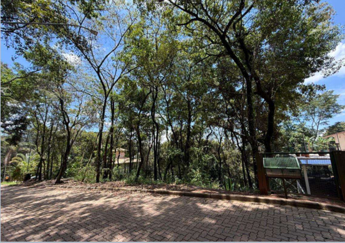 Lote, Passárgada, 0 Quarto, 0 Vaga