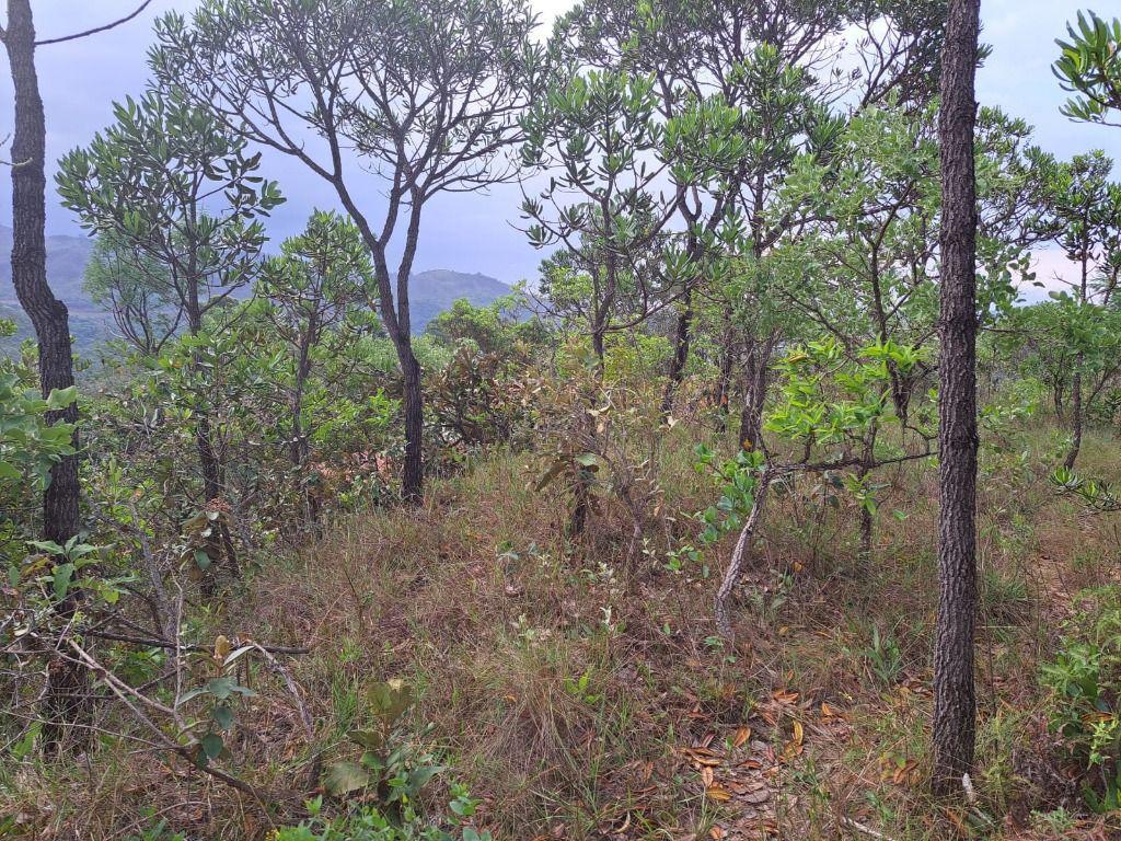 Lote, Arraial Velho, 0 Quarto, 0 Vaga