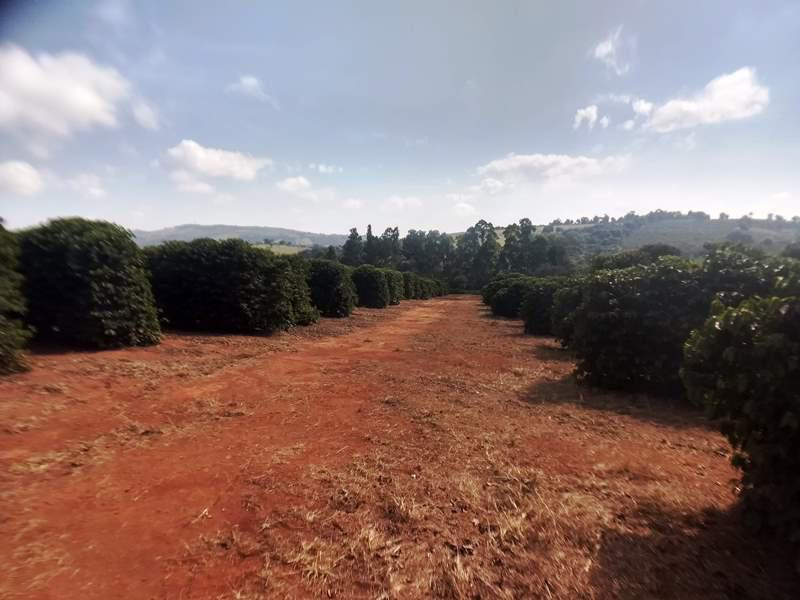 Fazenda, Zona Rural, 0 Quarto, 0 Vaga