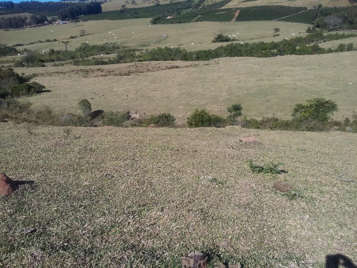 Fazenda, Centro, 3 Quartos, 1 Vaga, 1 Suíte