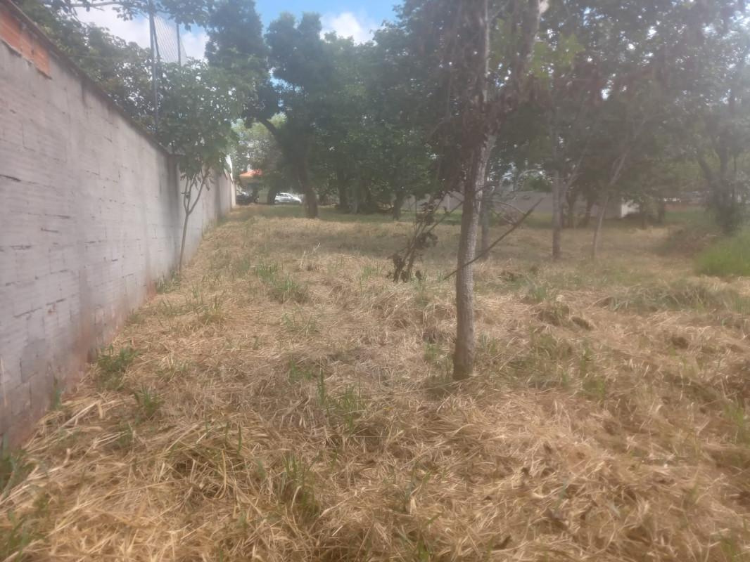 Lote, Jardim Ipê, 0 Quarto, 0 Vaga