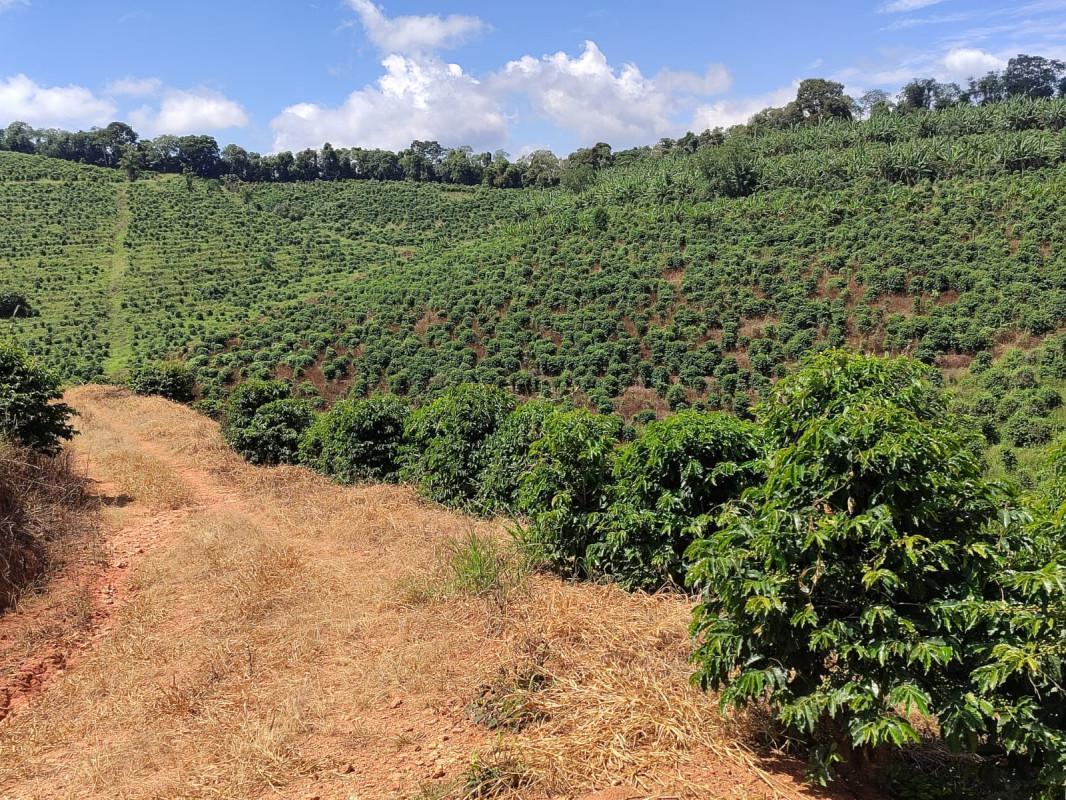 Fazenda, Zona Rural, 0 Quarto, 0 Vaga