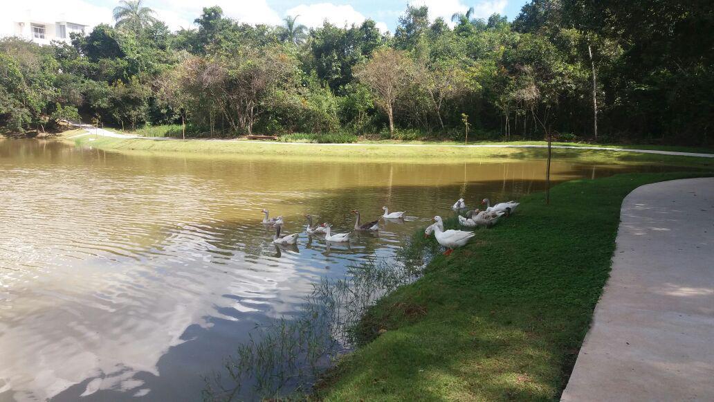 Lote em Condomínio, Residencial Montserrat