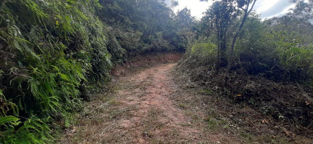 Fazenda, Arraial Velho, 0 Quarto, 0 Vaga