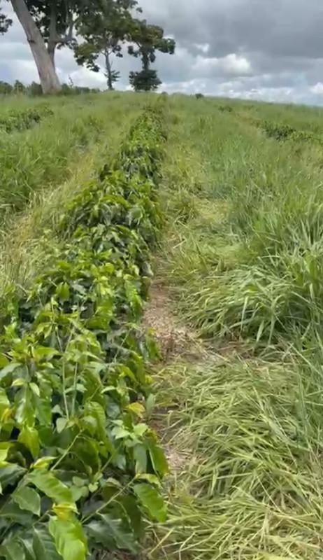 Fazenda, Zona Rural, 0 Quarto, 0 Vaga