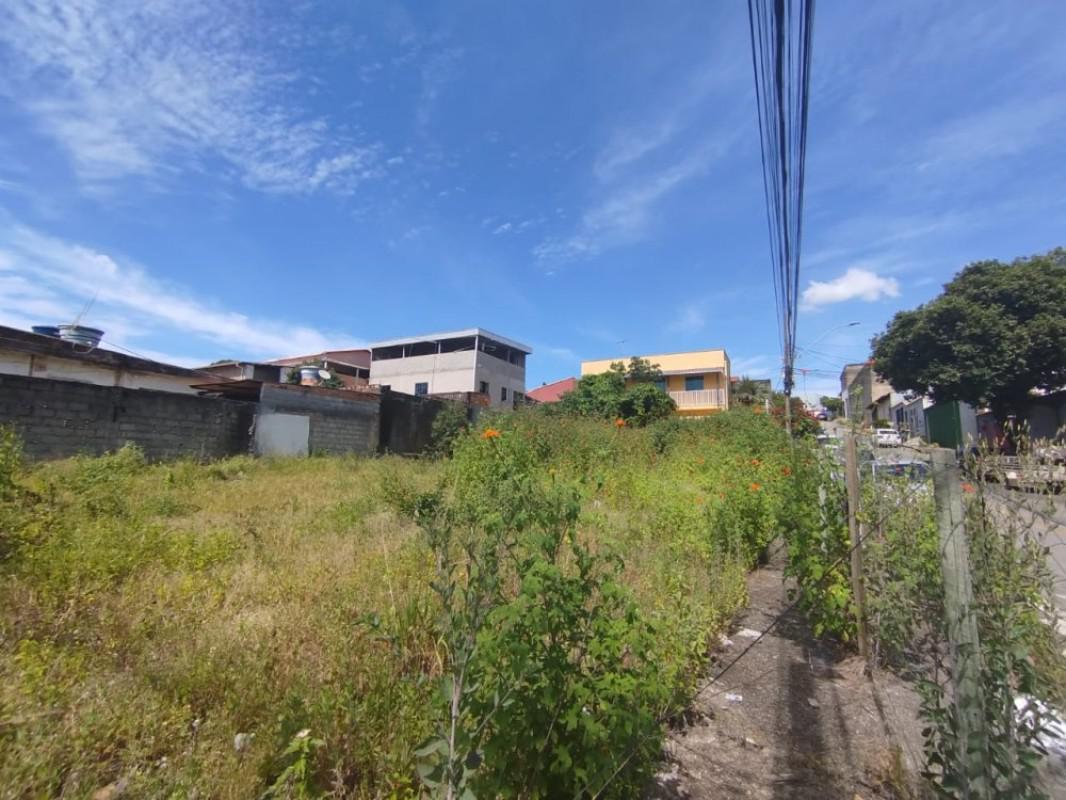 Lote, Flamengo, 0 Quarto, 0 Vaga