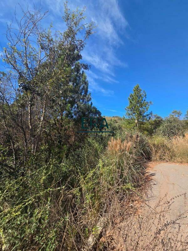 Lote, Village Sans Souci, 0 Quarto, 0 Vaga