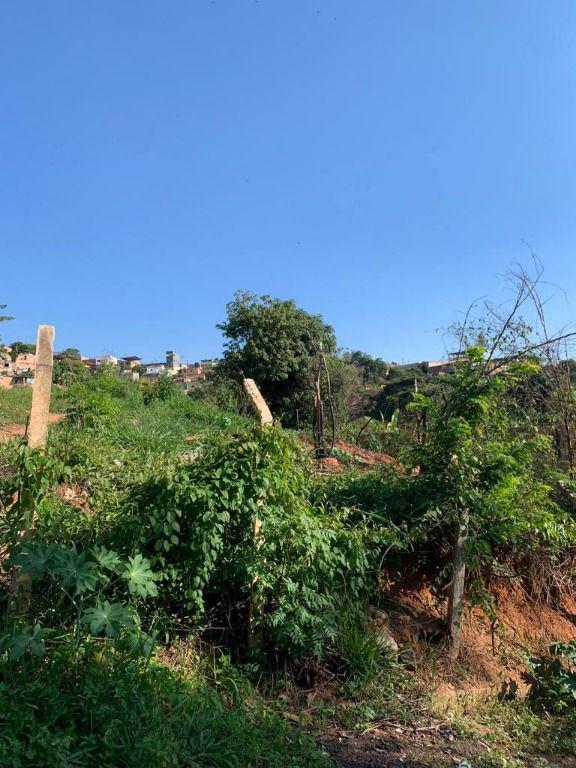 Lote, Rosário, 0 Quarto, 0 Vaga