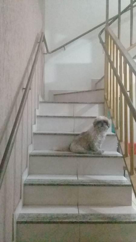 Casa, Vila Cristina, 3 Quartos, 2 Vagas, 1 Suíte