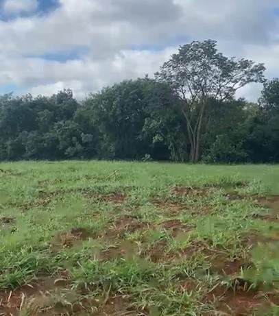 Fazenda, Zona Rural, 0 Quarto, 0 Vaga