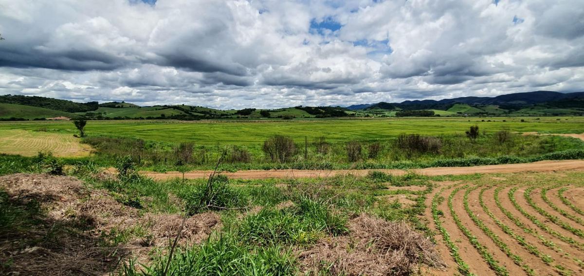 Fazenda, Centro, 1 Quarto, 1 Vaga, 1 Suíte