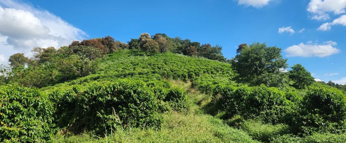 Fazenda, Zona Rural, 1 Quarto, 0 Vaga