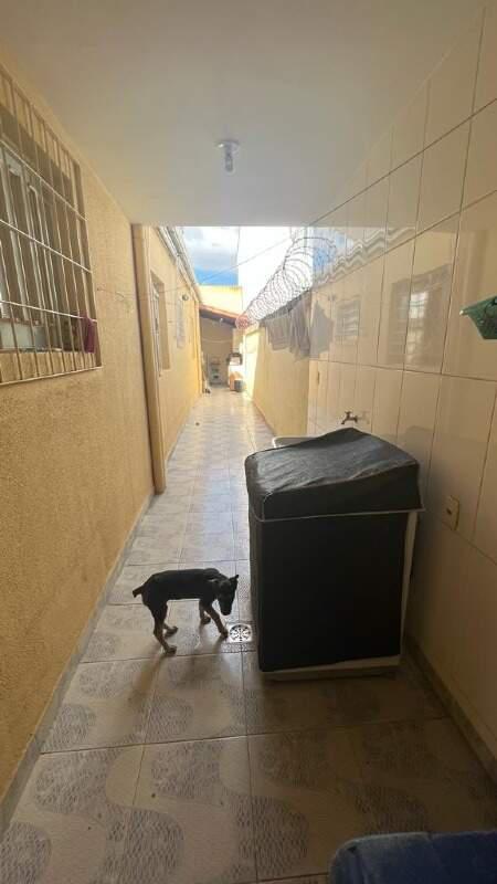 Casa, Santa Amélia, 3 Quartos, 2 Vagas, 2 Suítes