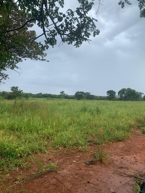 Fazenda, Zona Rural, 0 Quarto, 0 Vaga