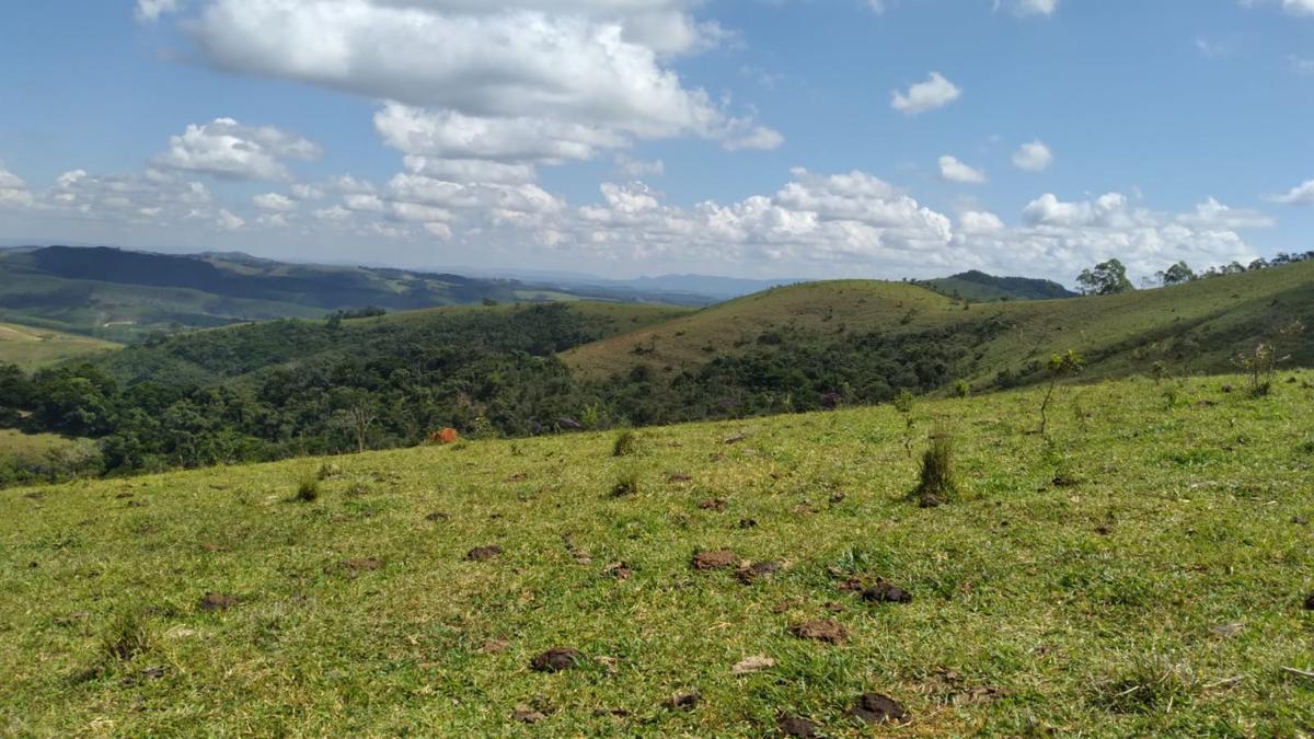 Fazenda, Centro, 0 Quarto, 0 Vaga