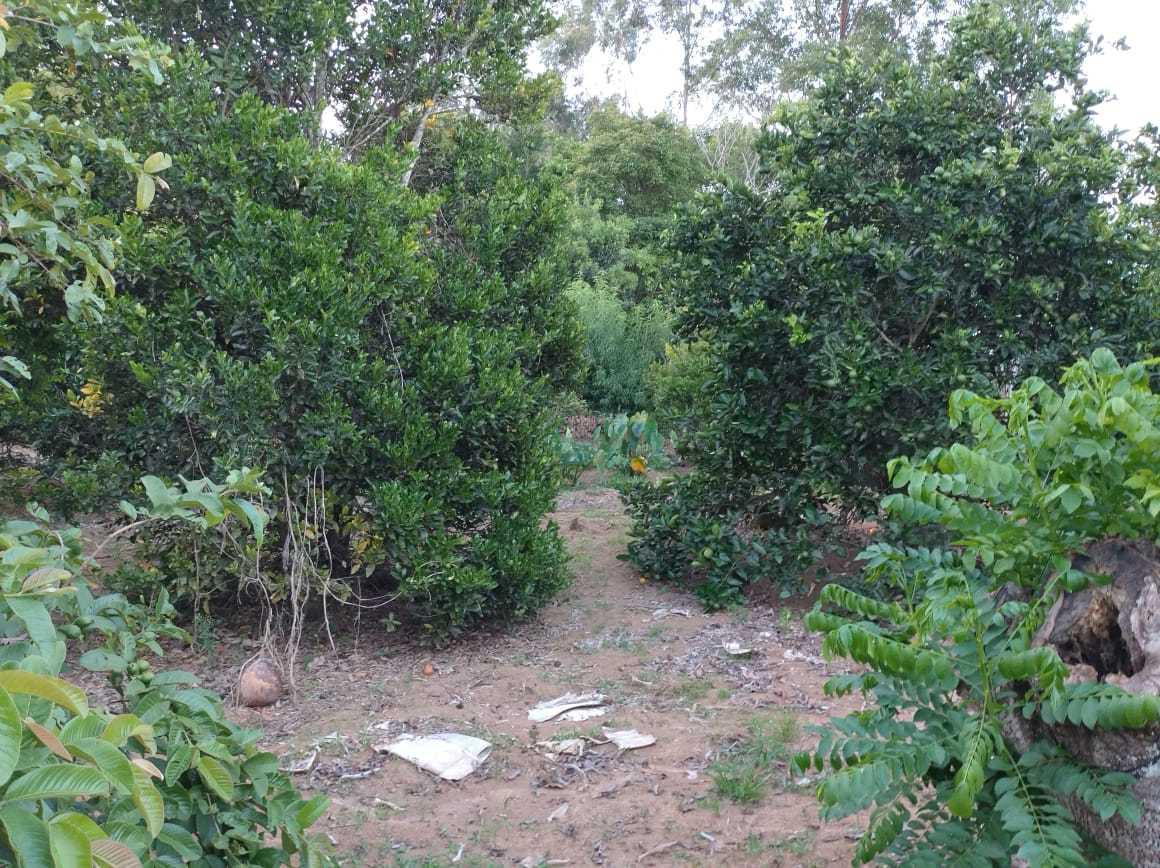 Fazenda, Zona Rural, 3 Quartos, 2 Vagas, 2 Suítes