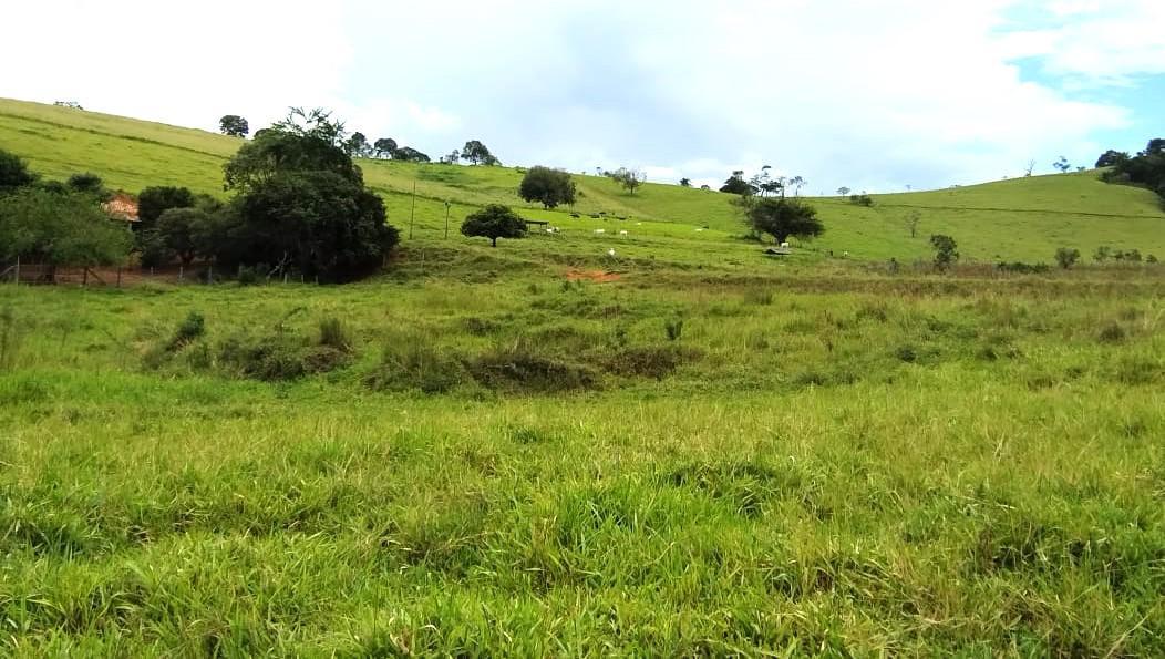Fazenda, Zona Rural, 3 Quartos, 0 Vaga