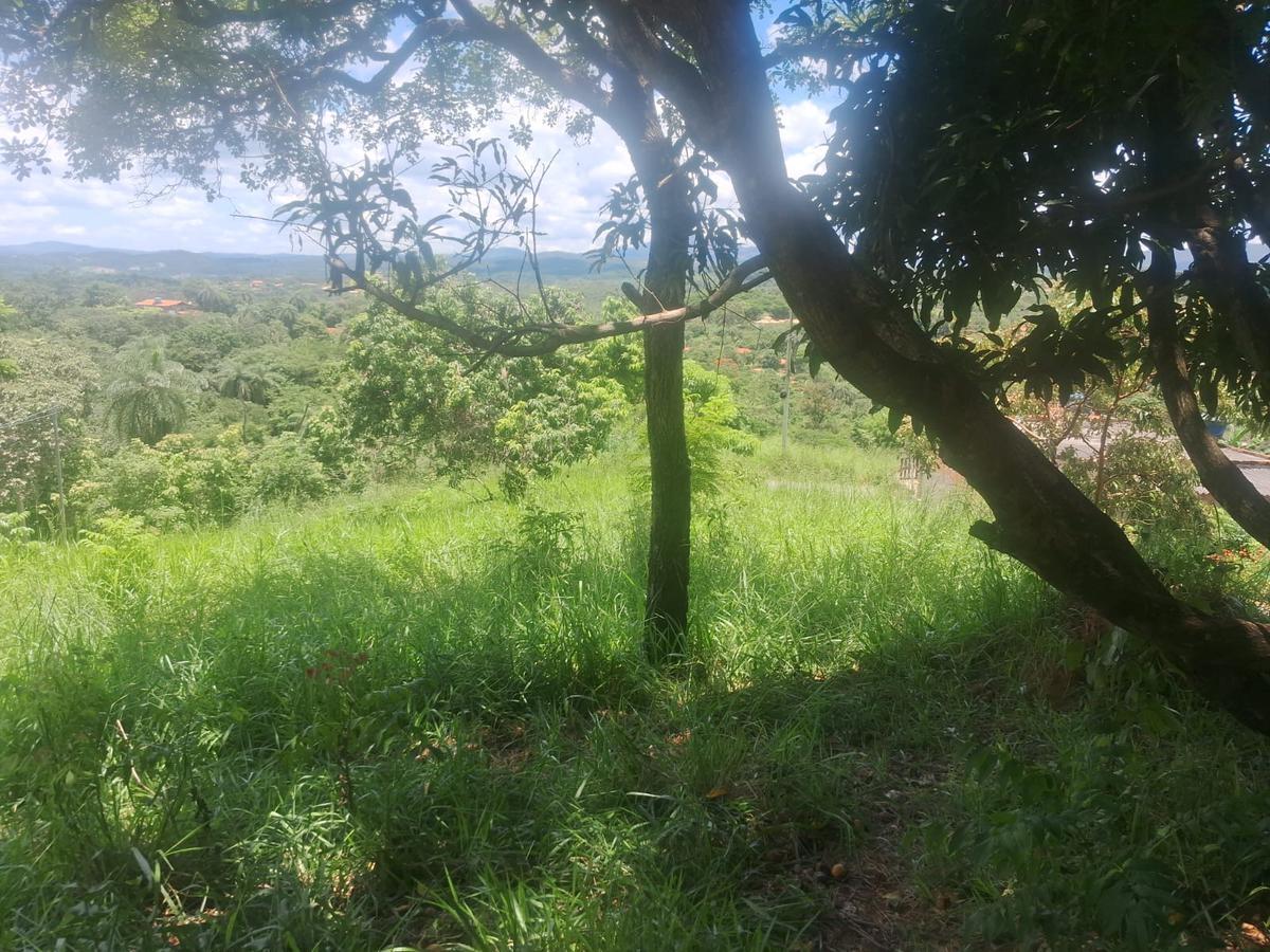 Lote, Bonanza, 0 Quarto, 0 Vaga