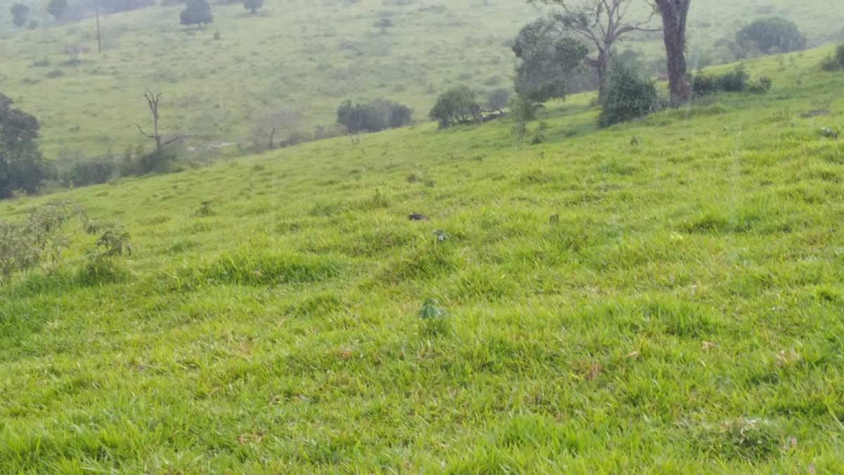 Fazenda, Zona Rural, 0 Quarto, 0 Vaga