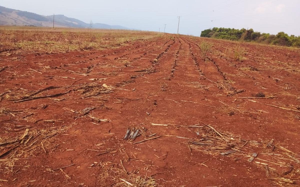 Fazenda, Zona Rural, 1 Quarto, 1 Vaga, 1 Suíte