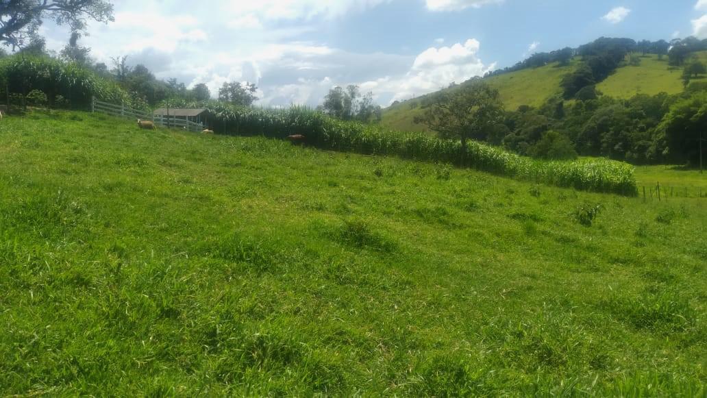 Fazenda, Zona Rural, 4 Quartos, 0 Vaga