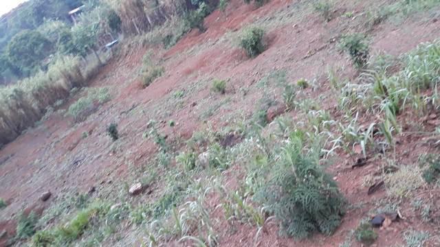 Fazenda, Quintas da Serra, 5 Quartos, 10 Vagas, 1 Suíte