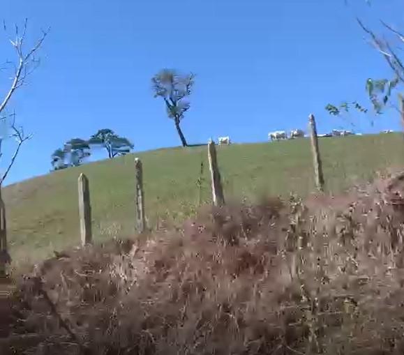 Fazenda, Zona Rural, 3 Quartos, 0 Vaga