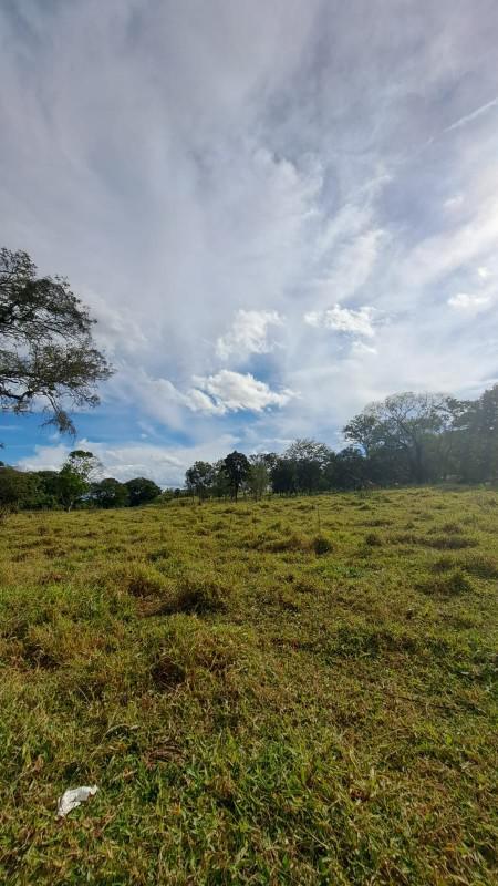 Lote, Tavares, 0 Quarto, 0 Vaga