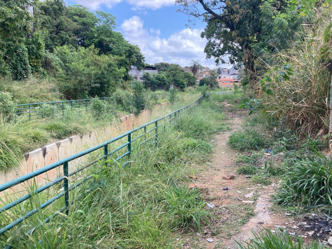 Lote, Santa Mônica, 0 Quarto, 0 Vaga