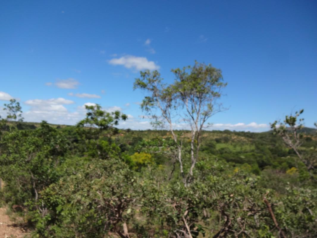 Fazenda, Zona Rural, 1 Quarto, 0 Vaga, 1 Suíte
