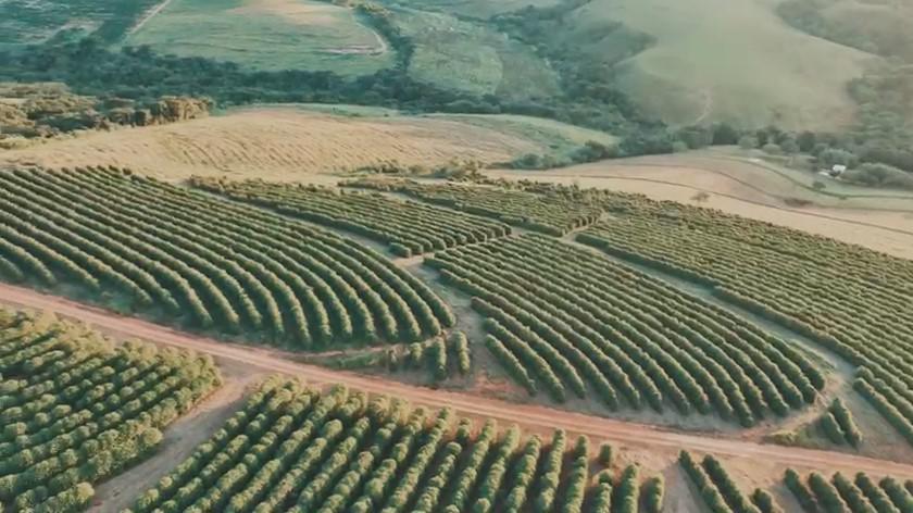 Fazenda, Zona Rural, 0 Quarto, 0 Vaga