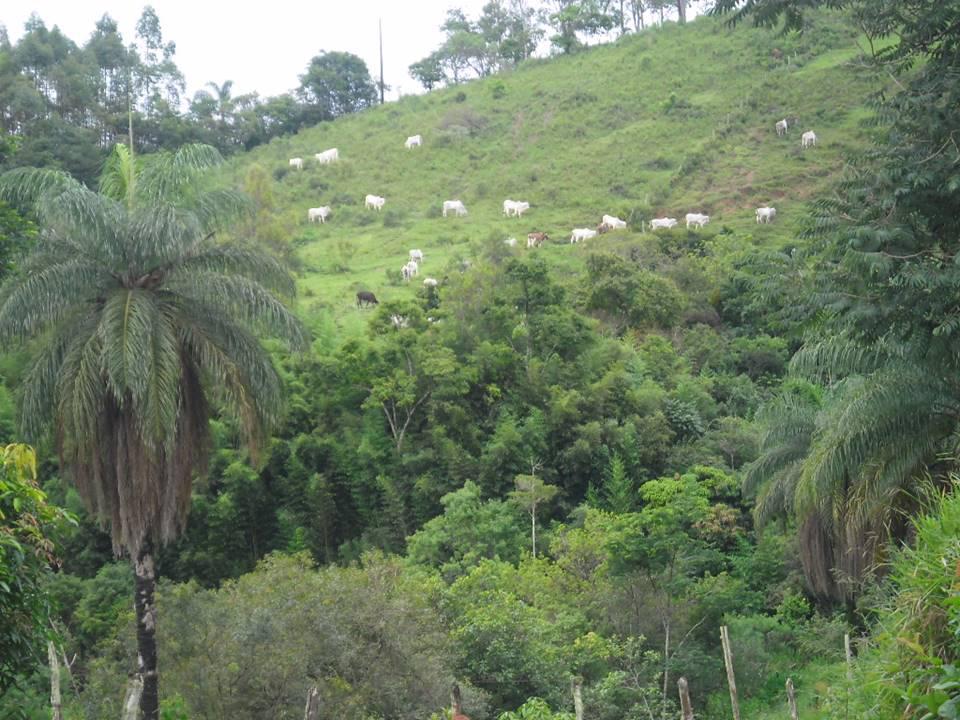 Fazenda, Acurui, 4 Quartos, 50 Vagas