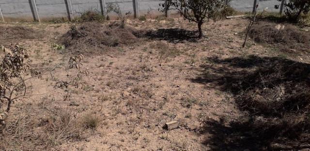 Lote, Zona Rural, 0 Quarto, 0 Vaga