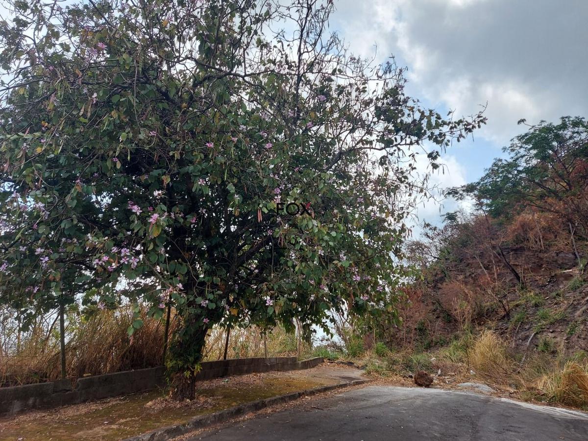 Lote, Santa Lúcia, 0 Quarto, 0 Vaga