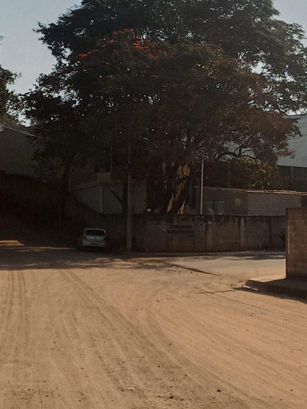 Lote, Bandeirinhas, 0 Quarto, 0 Vaga