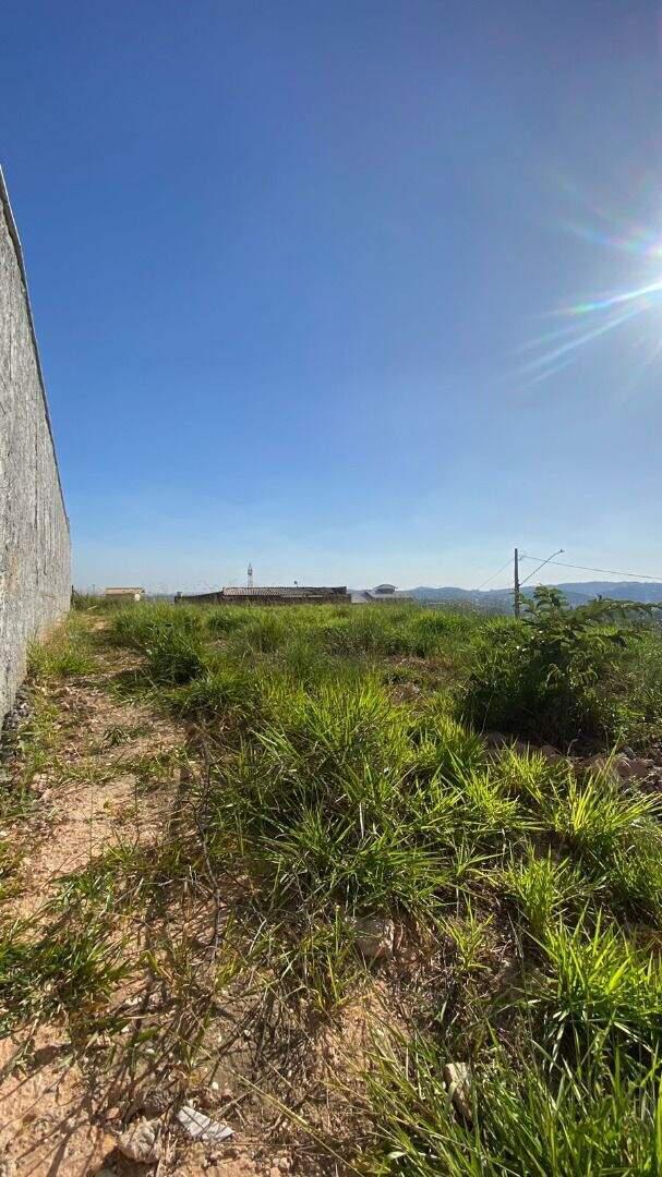 Lote, Liberdade, 0 Quarto, 0 Vaga