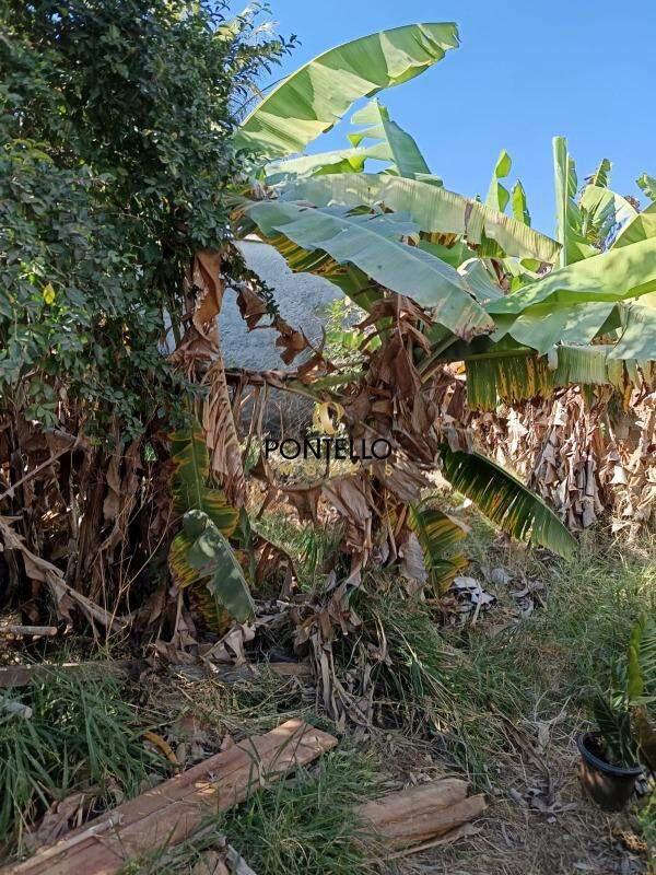 Casa, Jardim Europa, 4 Quartos, 2 Vagas, 1 Suíte